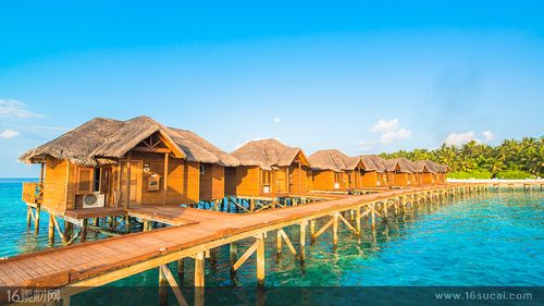 大额消费有什么 大额消费有什么