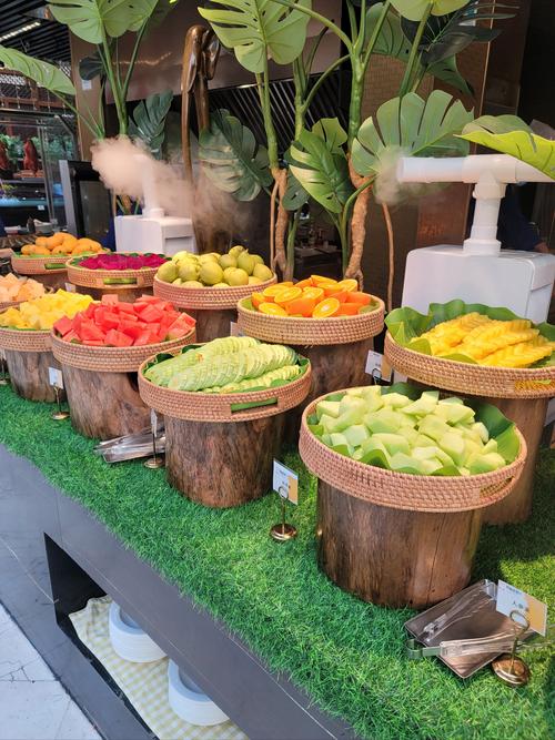 自助旅行者英文